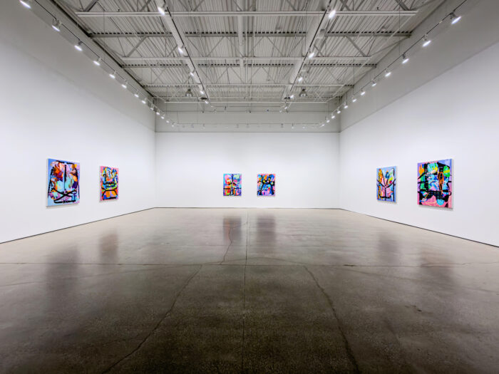 six paintings hanging in a large white gallery for the exhibition Glancing Gutted by American painter Jimmy Baker